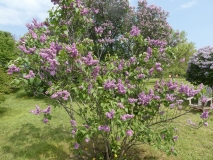 Le_Printemps_201906_MBG_MLD_1