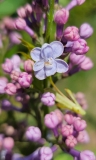 Lois_Amee_Utley_20240414_MLD_MLD_2