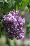 Magellan_2014_BLBG_TP_2