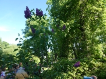 Marshal_Sokolovskii_20180526_PGBG_MLD_1