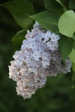 Martha_Stewart_TRD_TP_10