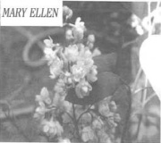 Mary_Ellen_2005_WH