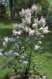 Mary_Short_RBG_CH_1