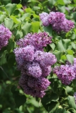Melissa_Oakes_2014_BLBG_TP_5