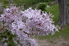 TOSHIBA Exif JPEG
