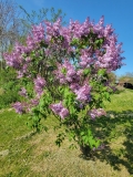 Monore_20220513_HP_MLD