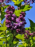 My_Favorite_20180510_HP_MLD_4