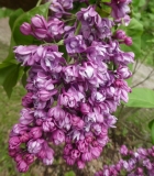My_Favorite_201906_RBG_MLD_1