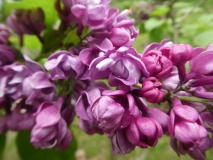 My_Favorite_201906_RBG_MLD_2