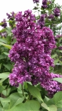 My_Favorite_2021_MP_KA