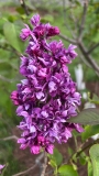 My_Favorite_20220524_MN_KA