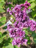 My_Favorite_20220528_KA_MLD