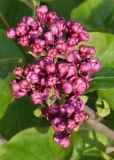 My_Favorite_20240408_MLD_MLD