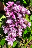 My_Favorite_20240420_MLD_MLD