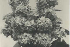 Nadezhda Krupskaya