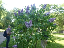 Nadezhda_20180526_PGBG_MLD_1