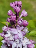 Nebo_Moskvy_20210511_HP_MLD_2