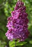 Nesterka_Minsk_TP_3