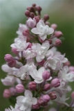 Nina_2021_TP_2
