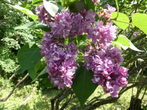 Ogni_Donbassa_20180523_RAS_MLD_1