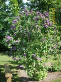 Panteons_201405_Dobele_RR