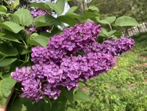 Paradise_202305_MA_JM
