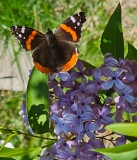 Persian_20240422_MLD_MLD_4