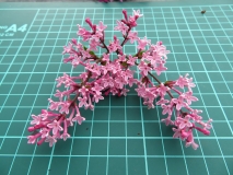 Pink-Pavement-2