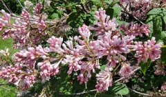 Prairial_20210531_HP_MLD_2