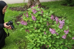 Prairie_Petite_MSU_BG_TP_4