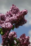 Pyatidesyatiletie_Oktyabrya_2005_TP__ISA_1