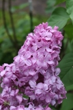 Pyatidesyatiletie_Oktyabrya_2021_Russia_NS_3