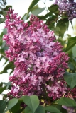Pyatidesyatiletie_Oktyabrya_50_let_Oktyabrya_TP_1