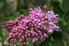 Pyatidesyatiletie_Oktyabrya_50_let_Oktyabrya_TP_3