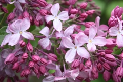 Pyatidesyatiletie_Oktyabrya_50_let_Oktyabrya_TP_5