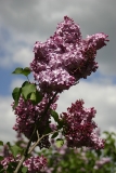 Pyatidesyatiletie_Oktyabrya_50_let_Oktyabrya_TP_6