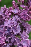 Sarah_Sands_2014_BLBG_TP_6