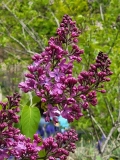 Sarah_Sands_20210427_BLBG_MLD_1