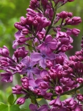 Sarah_Sands_20210427_BLBG_MLD_3