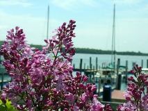 Scotia_020615_MI_BB_2