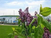 Scotia_020615_MI_BB_7