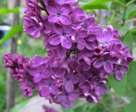 Serezha_201405_AK_OD
