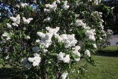 Snowflake_HP_TP_4