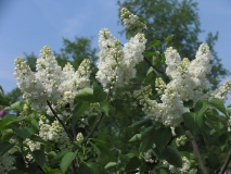 St_Margaret_CH_1