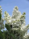 St_Margaret_CH_2
