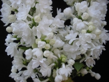 St_Margaret_LNT