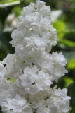 St_Margaret__Main_BG_TP_3
