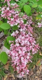 Superba_20220503_MLD_MLD_3