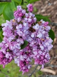 Utro_Moskvy_20210511_HP_MLD_1