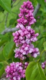 Utro_Moskvy_20210511_HP_MLD_2